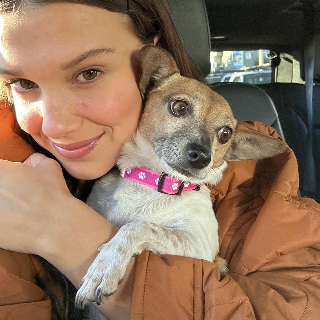 Millie Bobby Brown Enters the Vanderpump Universe in the Most Paws-itively Adorable Way – E! Online Millie Bobby Brown Enters the Vanderpump Universe in the Most Paws-itively Adorable Way – E! Online